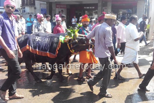 Kambala protes...